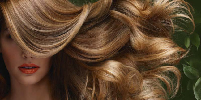 blog_hair01